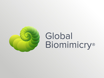 Nautilus 2 biomimicry fibonacci golden ratio green lime logo nautilus spiral