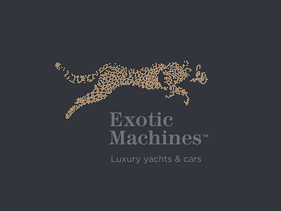 Exotic Machines