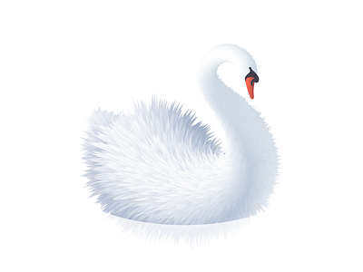 Swan