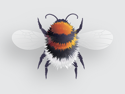 Bumblebee blend effect illustrator roughen tutorial vector