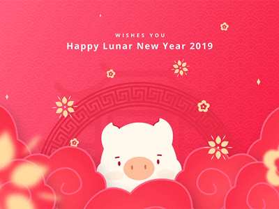 Year of the Pig chinese new year after effects illusstration motion animation pig new year cny