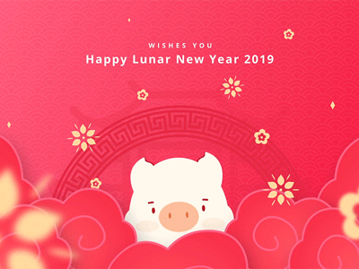 Year of the Pig after effects animation chinese new year cny illusstration motion new year pig