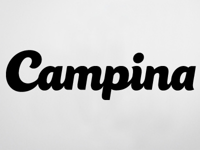 Campina dairy lettering packaging script type typography