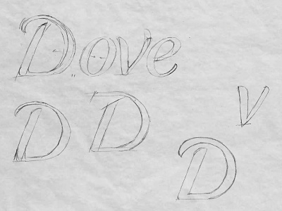 Dove Sketch branding hand lettering lettering logo logotype sketch type typography