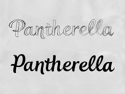 Pantherella Sketch 1 bespoke branding calligraphy custom type hand drawn hand lettering lettering logo logotype script sketch type typography