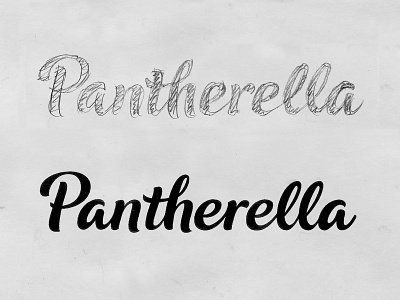 Pantherella Sketch 2 bespoke brand branding calligraphy custom type hand crafted hand drawn hand lettering lettering logo logotype script sketch type typography