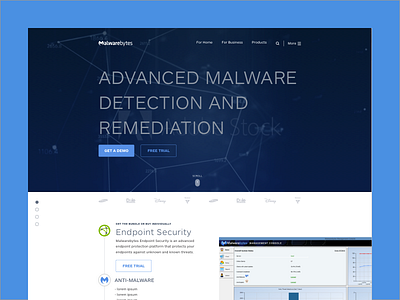 Malwarebytes Business Page