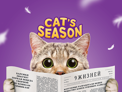 Package | Cat's season brand branding cat cat litter design illustration logo packaging violet
