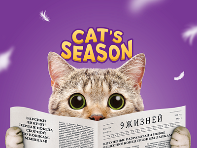 Package | Cat's season