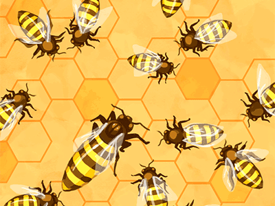 Honeybee Pattern gif illustration motion photoshop