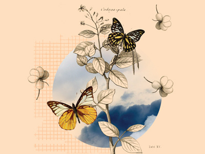 Vintage Desktop butterflies collage illustration vintage