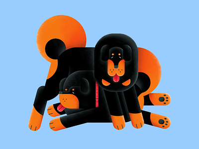 Tibetan Mastiff animal collar color design digital dog flat fluffy friends illustration paws pet petday puppy tail vector