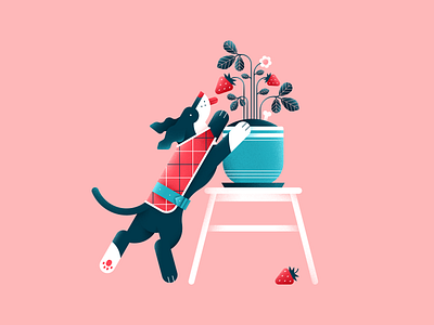 Strawberry animal clothes color design digital dog flat flower illustration pattern pet plant strawberry tasty vector