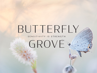 Butterfly Grove - Brand Identity branding color palette design graphic design illustration logo submark typography vector