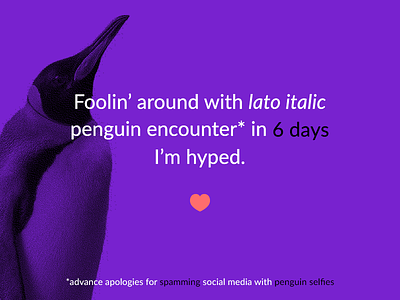 Penguin hype lato italic penguin poetic purple