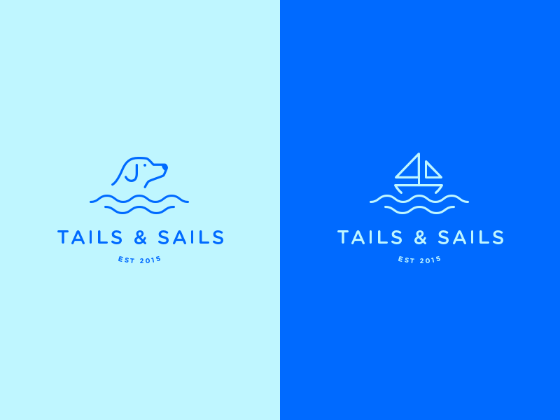 Tail sailing. кит плывет над водой. Tail sailing. гечек регата 2022. Tails of sailing.