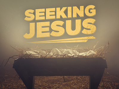 Christmas Sermon Series Theme