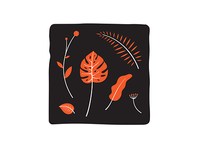 leaves me wondering colors flowers illustration leaves palm philodendron