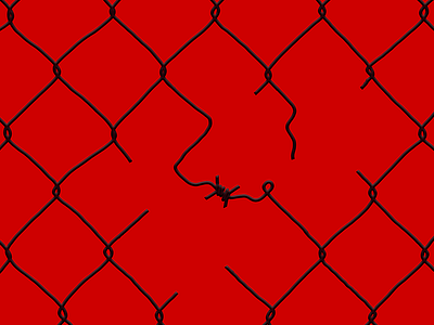 Beautifully Fixed barbed wire black line red wire