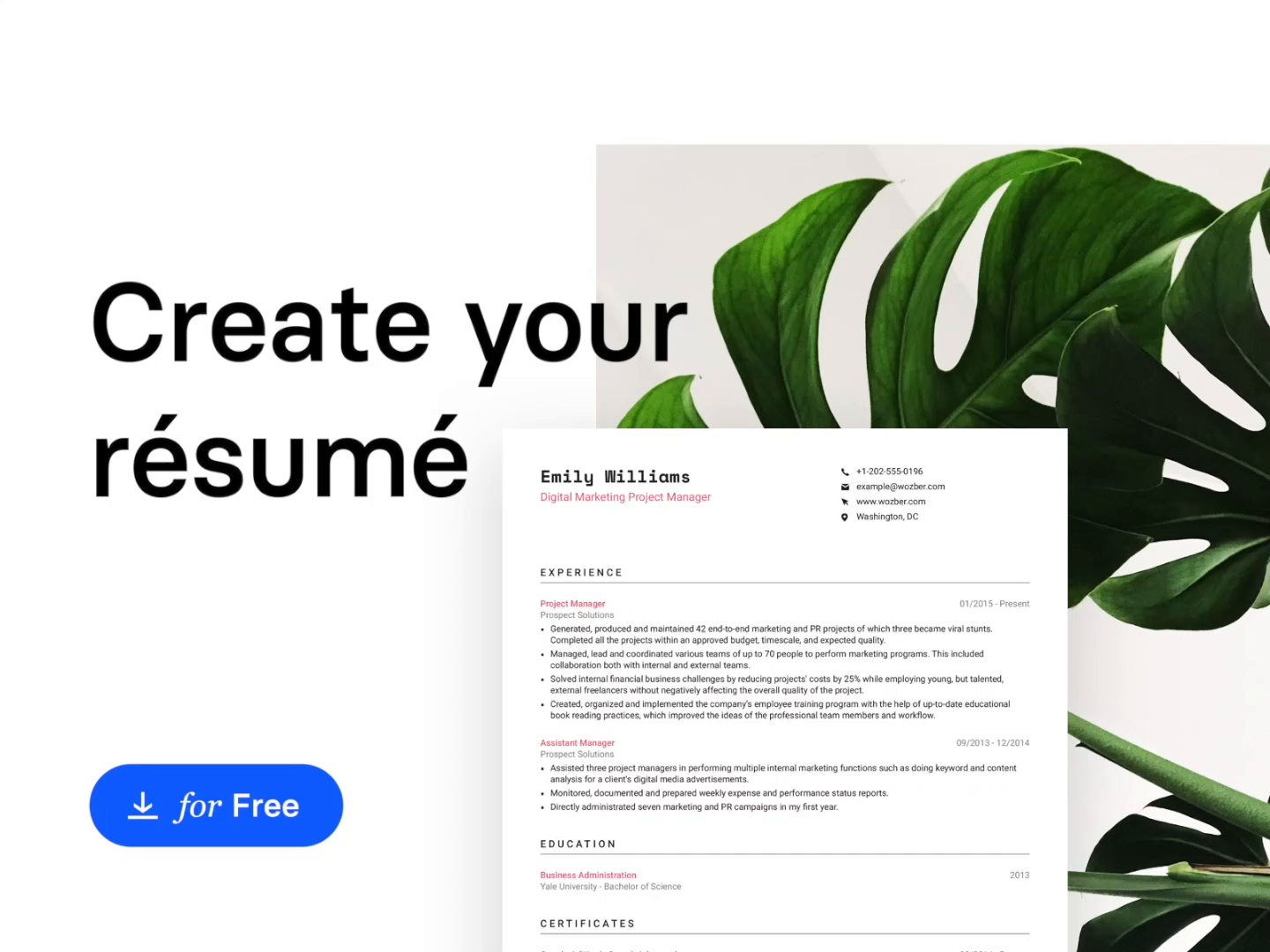 Create your Resume by Deividas Graužinis on Dribbble