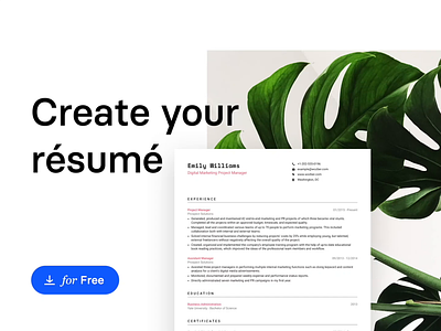 Create your Resume backgrounds resume cv resume template unsplash wozber