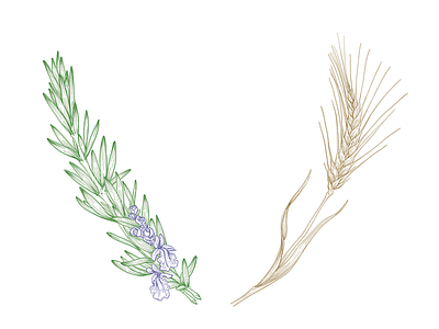 Rosemary & wheat