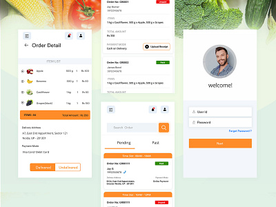 Delivery Boy app app dashboard delivery service design logistics ui user experience ux