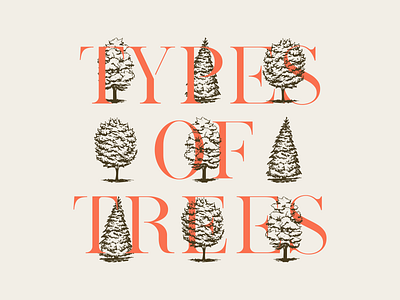 Type Of Trees forest handdrawn modernserif orange pen and ink trees
