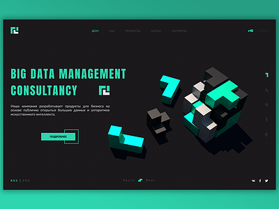 Data Management Consulting