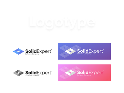 Solidexpert Logotype brandbook branding expert logoset logotype solid solidexpert