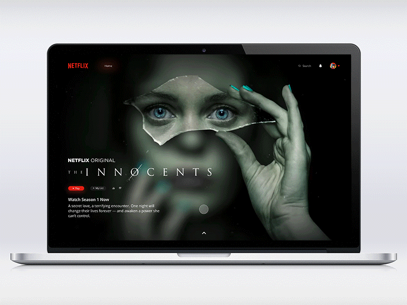 Netflix Concept