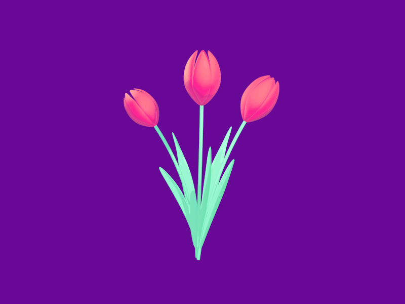 Spring Has Sprung 2d 3d animation c4d cinema 4d eyedesyn flower gif mograph sketch and toon spring tulip