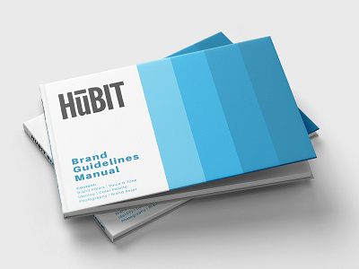 HubIT Brand Guidelines Manual branding color design flat logo minimal type typography