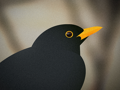 Blackbird bird black blackbird flat illustration nature realism vector yellow