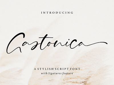 Gastonica branding elegant feminine handwritten handwritten font packaging script script font signature signature font wedding wedding font