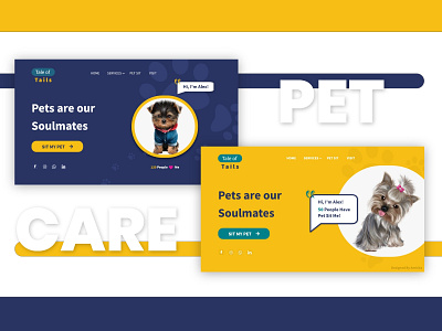 Pet Care Landing section design flat pet pet care petcare petcarewebsite typography web
