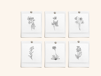 Inky Wildflower Vector Illustrations