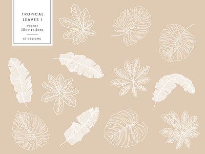 Tropical Leaves Vector Illustrations design drawing etsy graphicdesign illustration leaves nature plants tropical vector