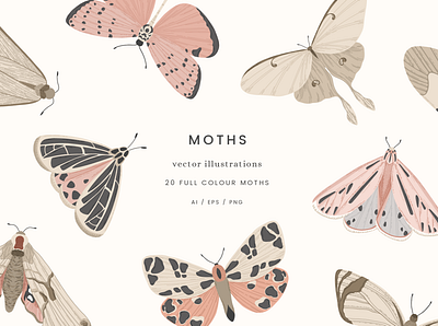 Moths Colour Vector Illustrations butterflies colour creative market design drawing graphicdesign illustration moths nature vector