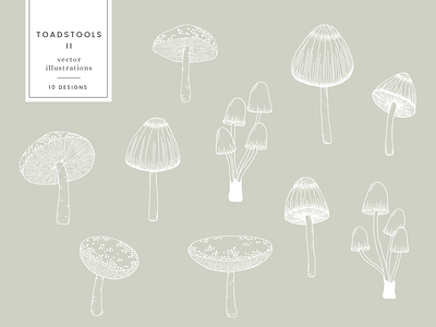 Toadstools Vector Illustrations creative market design drawing graphicdesign illustration nature vector