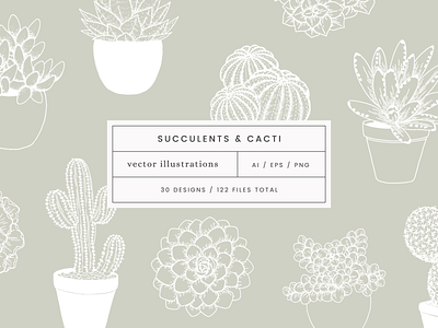 Succulents & Cacti Vector Illustrations