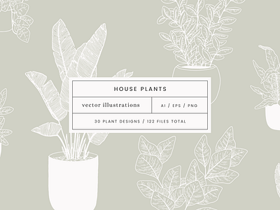 Houseplants Vector Illustrations