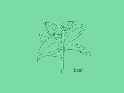 Cannabis Companion Plants – Basil basil basil leaf botanical cannabis design companion plants gardening graphic design herb illustration line art minimal