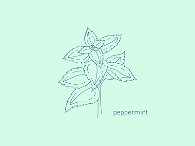 Companion Plants — Peppermint branding cannabis cannabis design companion plant gardening graphic design herb illustration line art mint peppermint vector