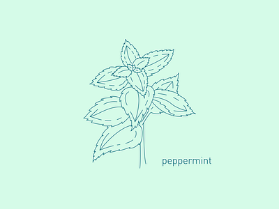 Companion Plants  — Peppermint