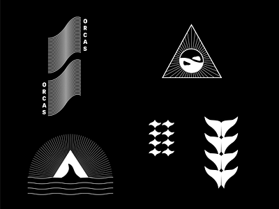 Orcas Branding 2 brand identity branding design fin graphic design illustration killer whale logo minimalism tail vector vector art water whale yinyang