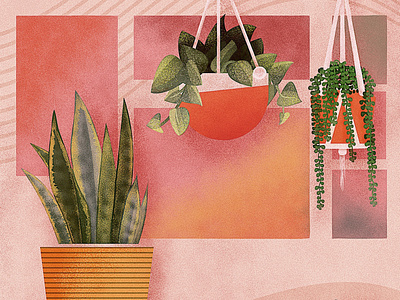 House Plants