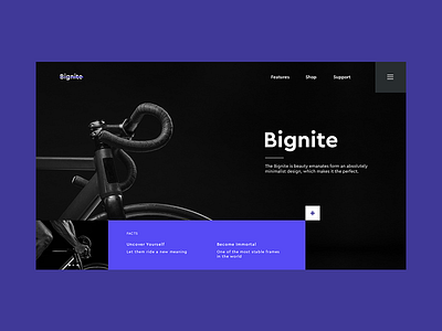 Bignite 🚴 bicycle design graphic landingpage ui