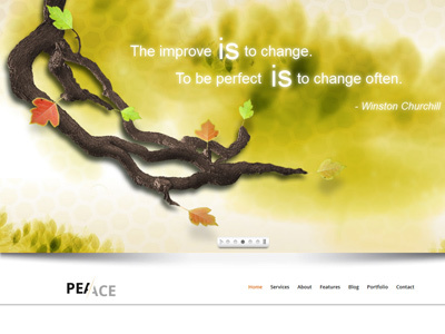 Peace - Responsive One Page WordPress Theme in Process