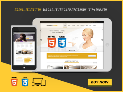 Best Selling WordPress Theme delciate product responsive shop shopping web design woocommerce wordpress theme